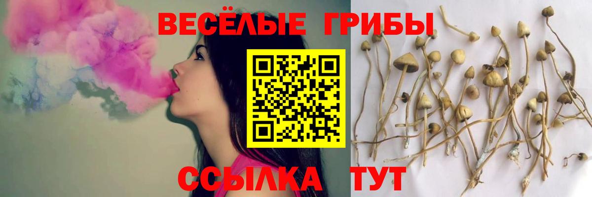 Псилоцибиновые грибы Magic Shrooms Черногорск
